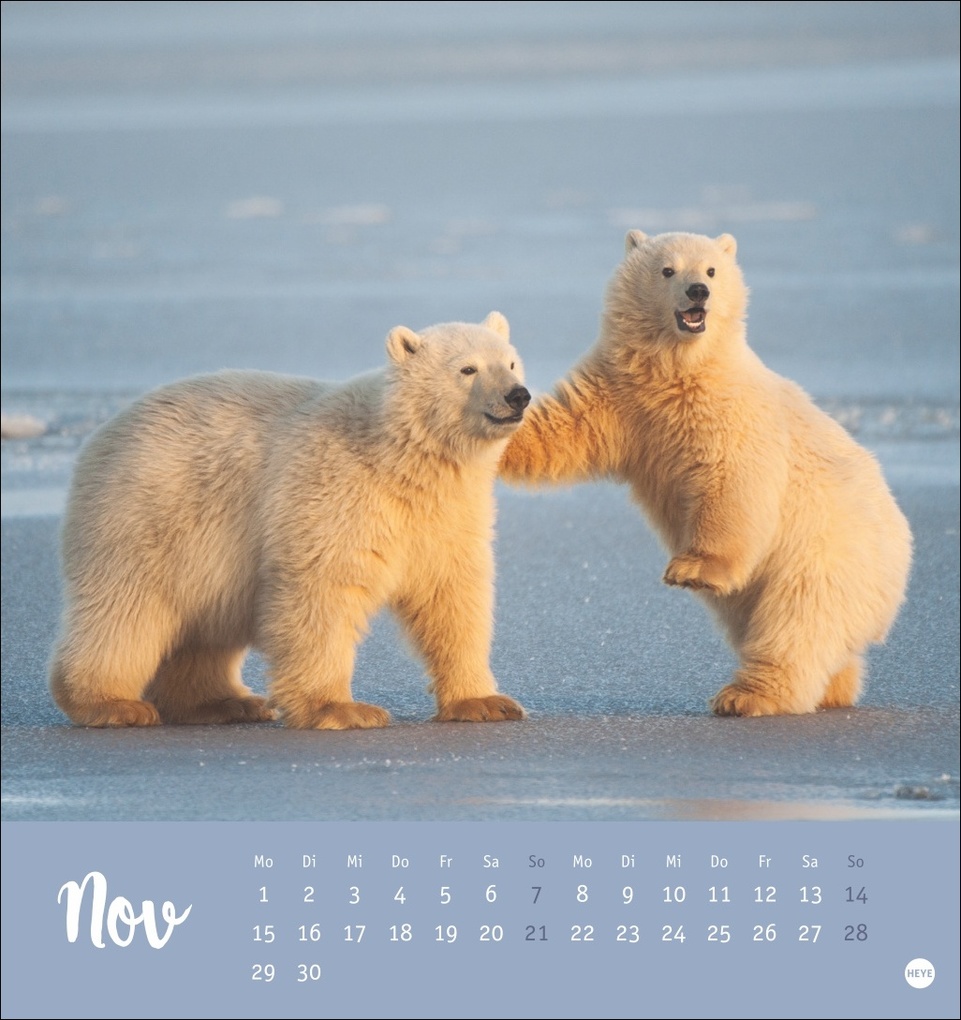 Weitere Ansicht: Bärenstark Postkartenkalender 2027