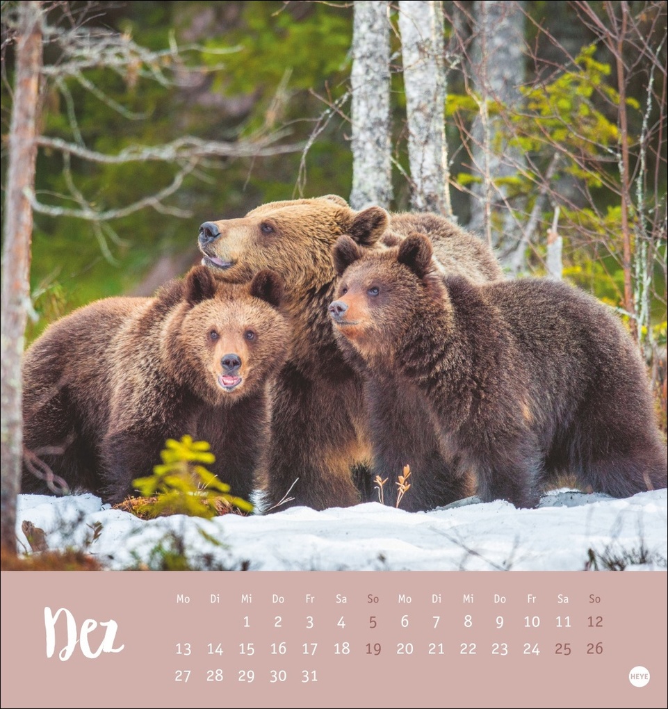 Weitere Ansicht: Bärenstark Postkartenkalender 2027