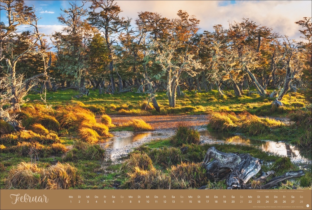 Weitere Ansicht: Zauberwälder Edition Kalender 2027