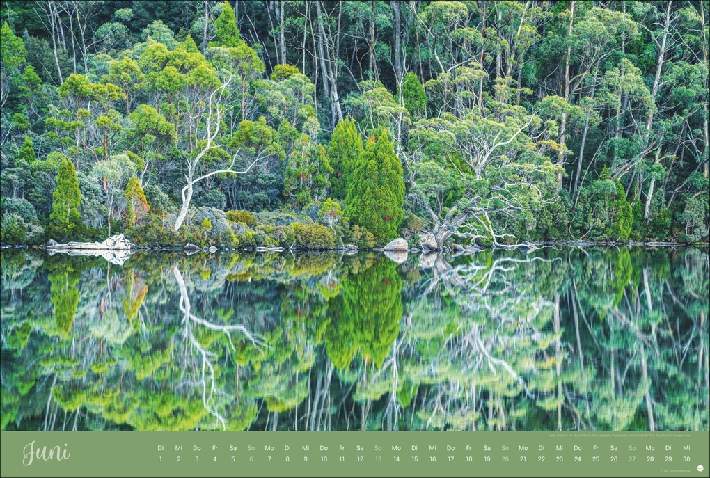 Weitere Ansicht: Zauberwälder Edition Kalender 2027