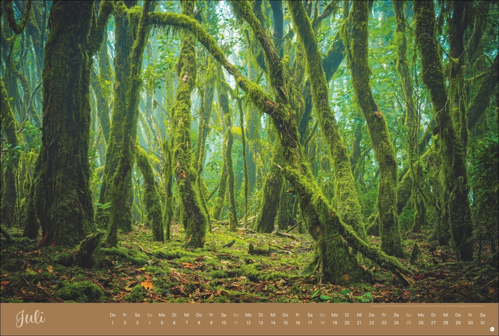 Weitere Ansicht: Zauberwälder Edition Kalender 2027