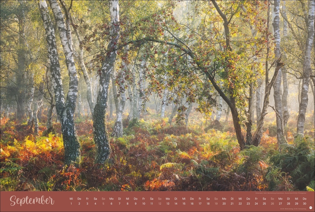 Weitere Ansicht: Zauberwälder Edition Kalender 2027