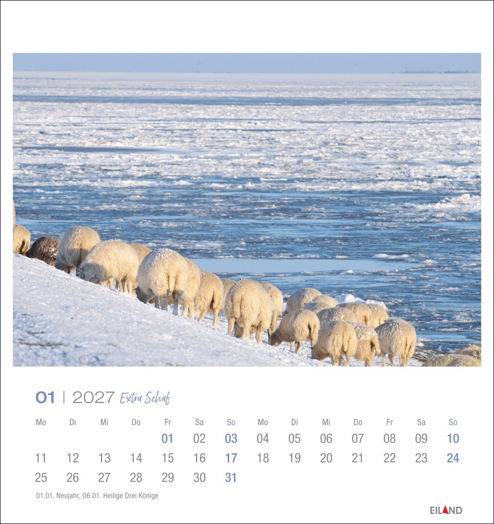 Weitere Ansicht: Extra Schaf Postkartenkalender 2027
