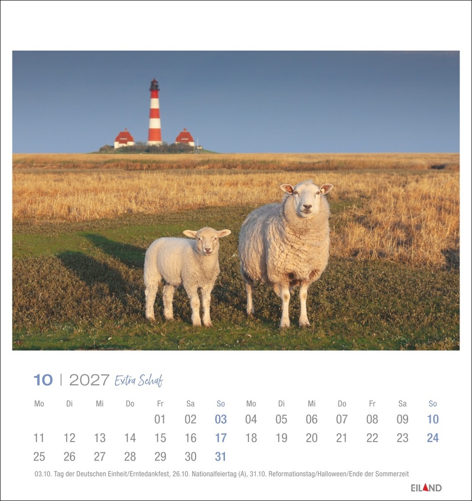 Weitere Ansicht: Extra Schaf Postkartenkalender 2027