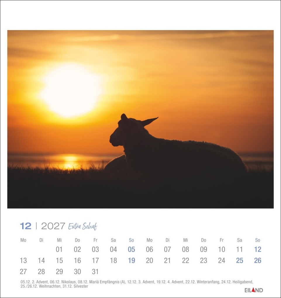 Weitere Ansicht: Extra Schaf Postkartenkalender 2027