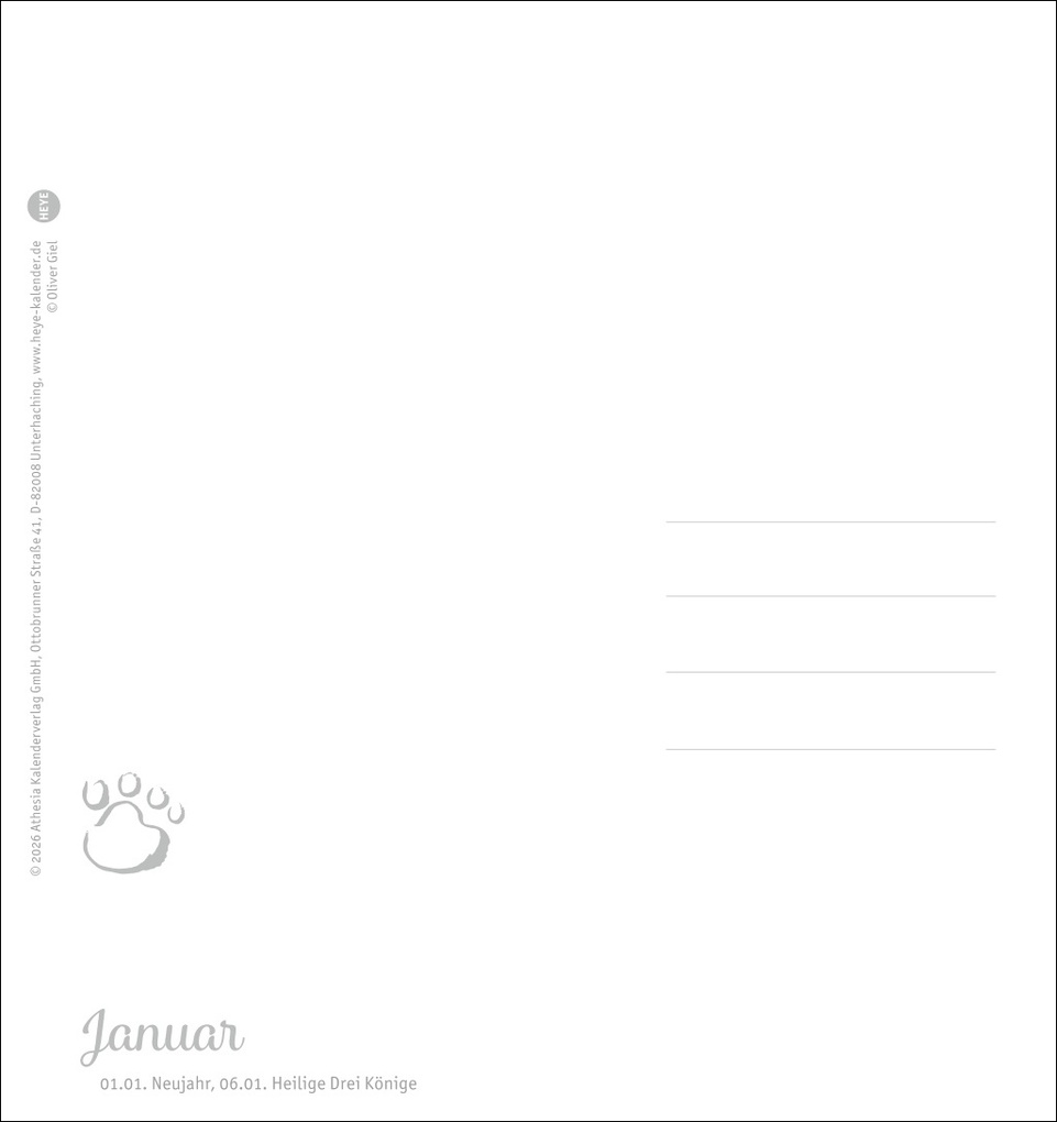 Weitere Ansicht: Katzen Postkartenkalender Kleine Tiger 2027