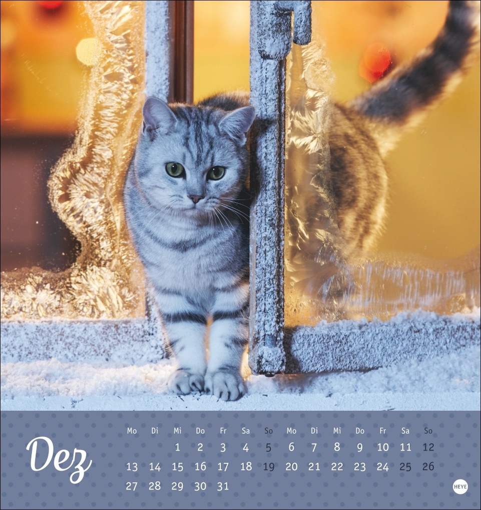 Weitere Ansicht: Katzen Postkartenkalender Kleine Tiger 2027