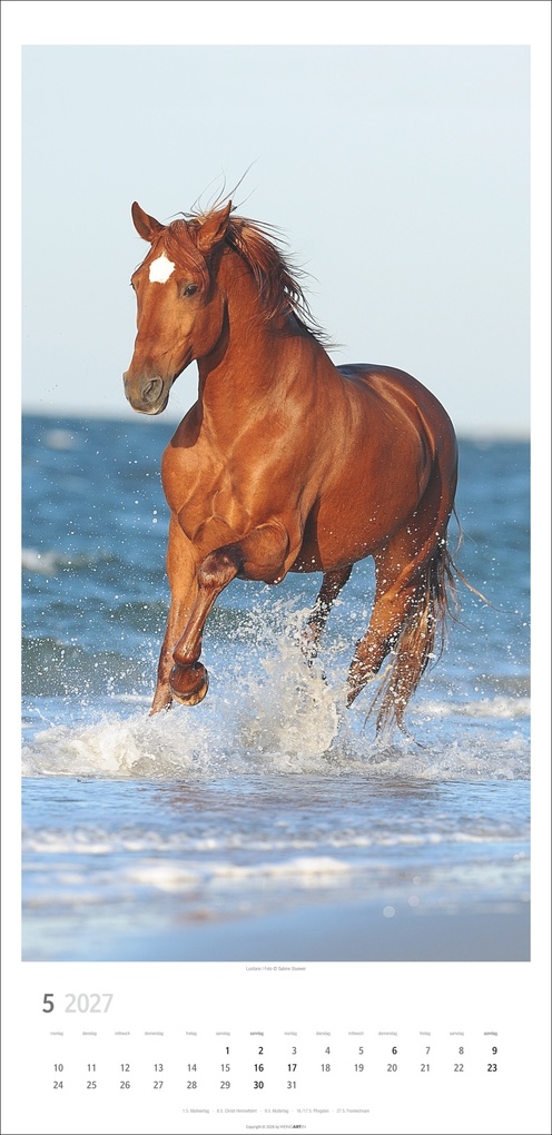 Weitere Ansicht: Pferde Kalender 2027