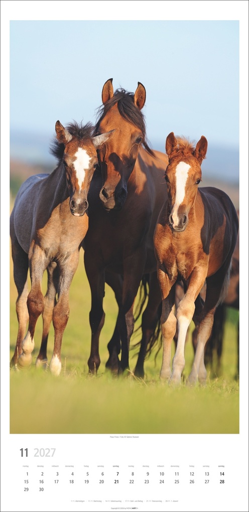 Weitere Ansicht: Pferde Kalender 2027