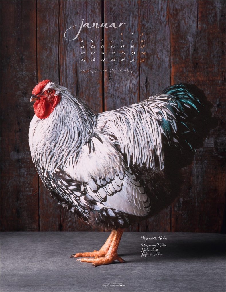 Weitere Ansicht: Pretty Chicks Kalender 2027