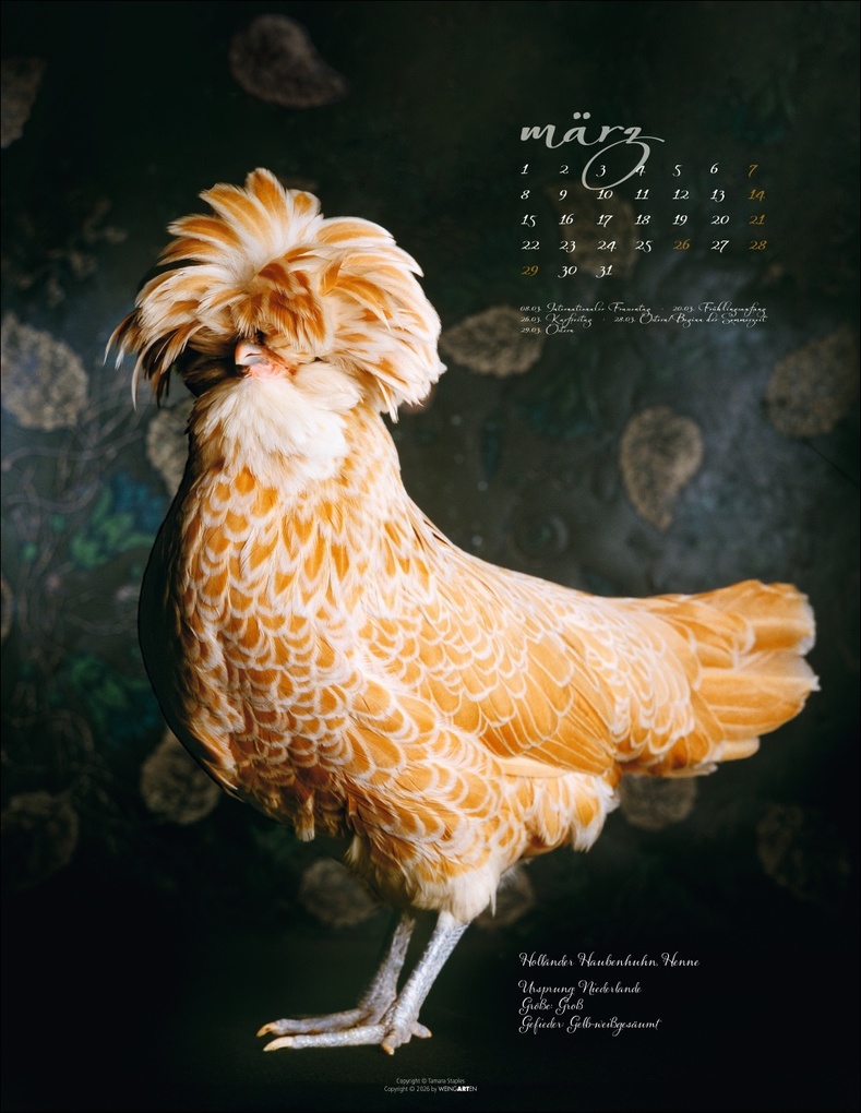 Weitere Ansicht: Pretty Chicks Kalender 2027