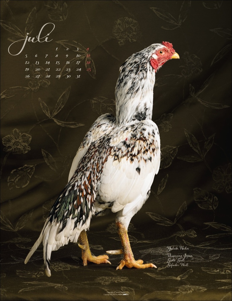 Weitere Ansicht: Pretty Chicks Kalender 2027