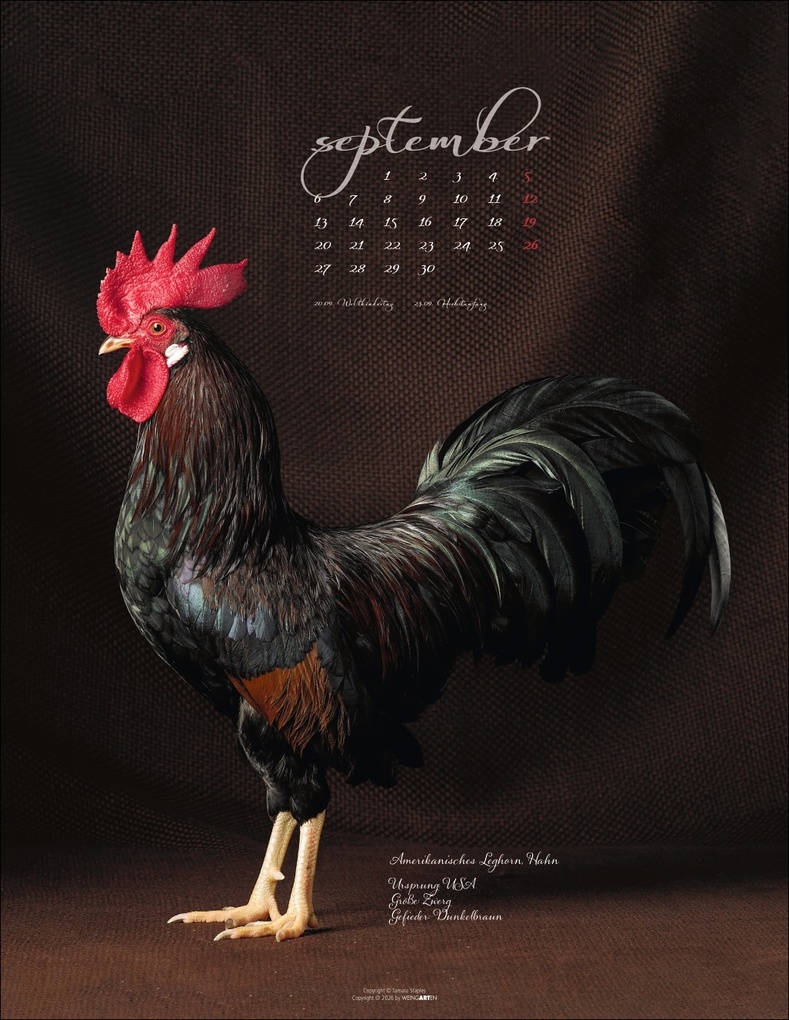 Weitere Ansicht: Pretty Chicks Kalender 2027