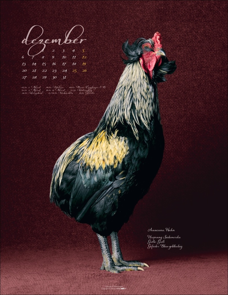 Weitere Ansicht: Pretty Chicks Kalender 2027