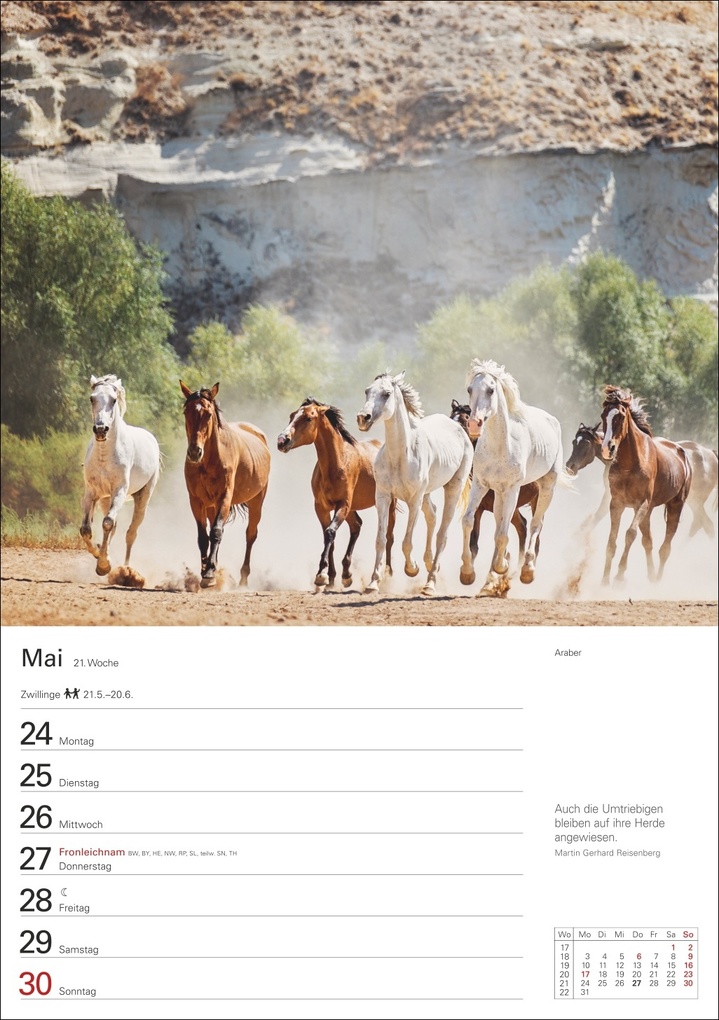 Weitere Ansicht: Pferde Wochenplaner 2027 - 53 faszinierende Fotografien
