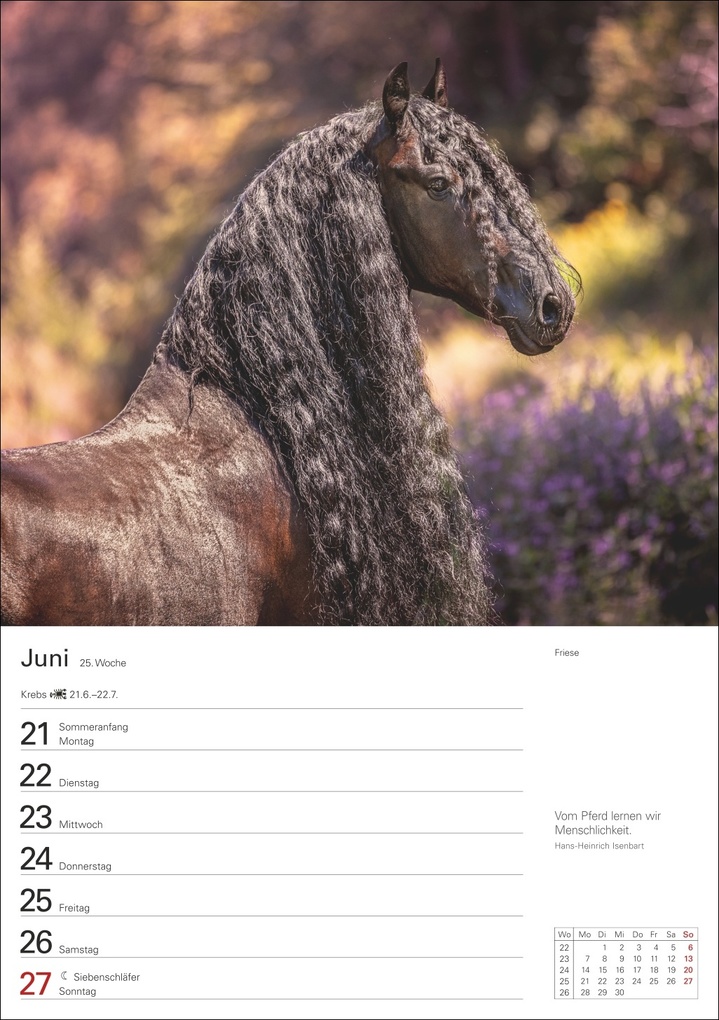 Weitere Ansicht: Pferde Wochenplaner 2027 - 53 faszinierende Fotografien