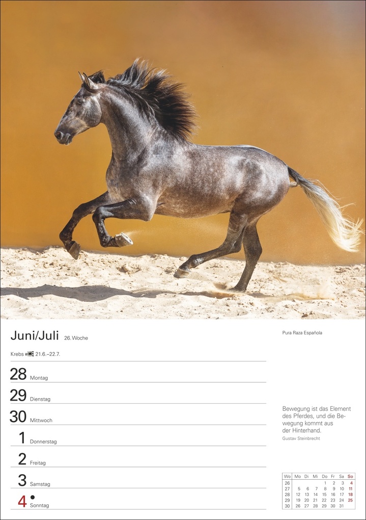 Weitere Ansicht: Pferde Wochenplaner 2027 - 53 faszinierende Fotografien