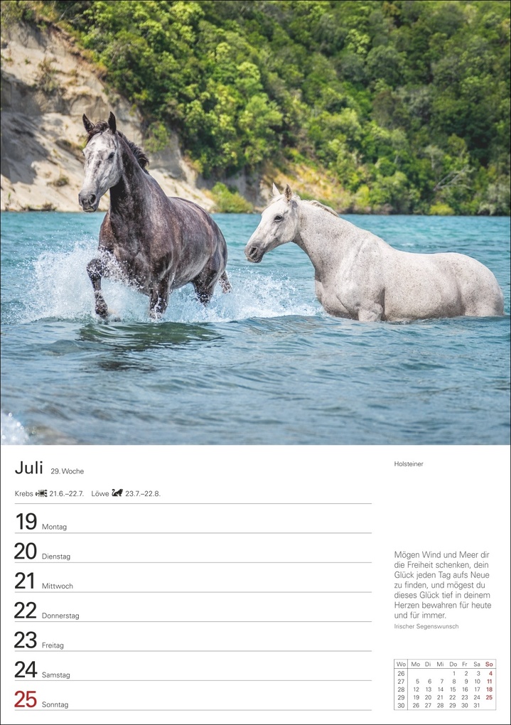 Weitere Ansicht: Pferde Wochenplaner 2027 - 53 faszinierende Fotografien