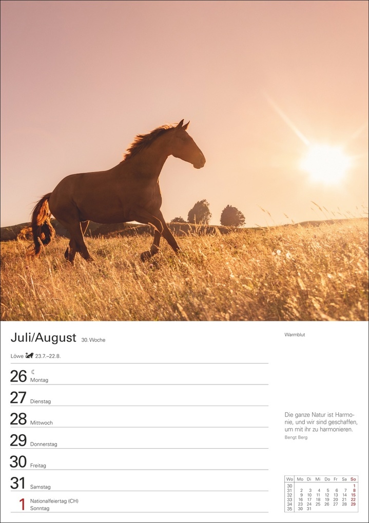 Weitere Ansicht: Pferde Wochenplaner 2027 - 53 faszinierende Fotografien