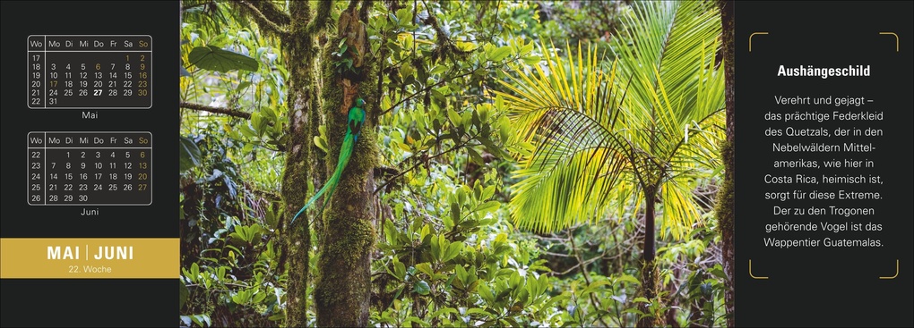 Weitere Ansicht: Naturparadiese Premium-Tischplaner 2027 - Wochenkalender mit 53 Fotografien