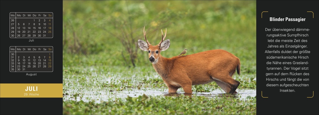 Weitere Ansicht: Naturparadiese Premium-Tischplaner 2027 - Wochenkalender mit 53 Fotografien