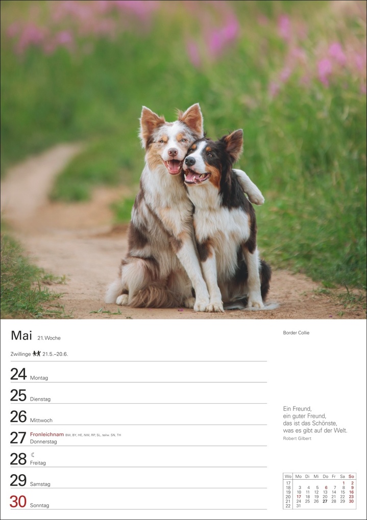 Weitere Ansicht: Hunde Wochenplaner 2027 - 53 faszinierende Fotografien