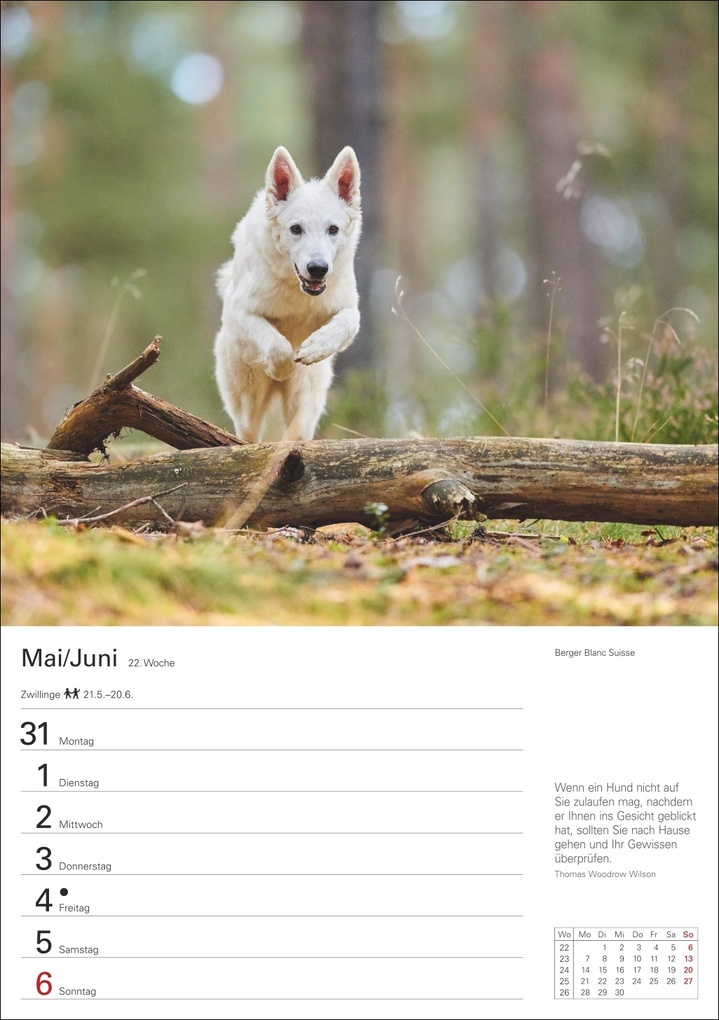 Weitere Ansicht: Hunde Wochenplaner 2027 - 53 faszinierende Fotografien