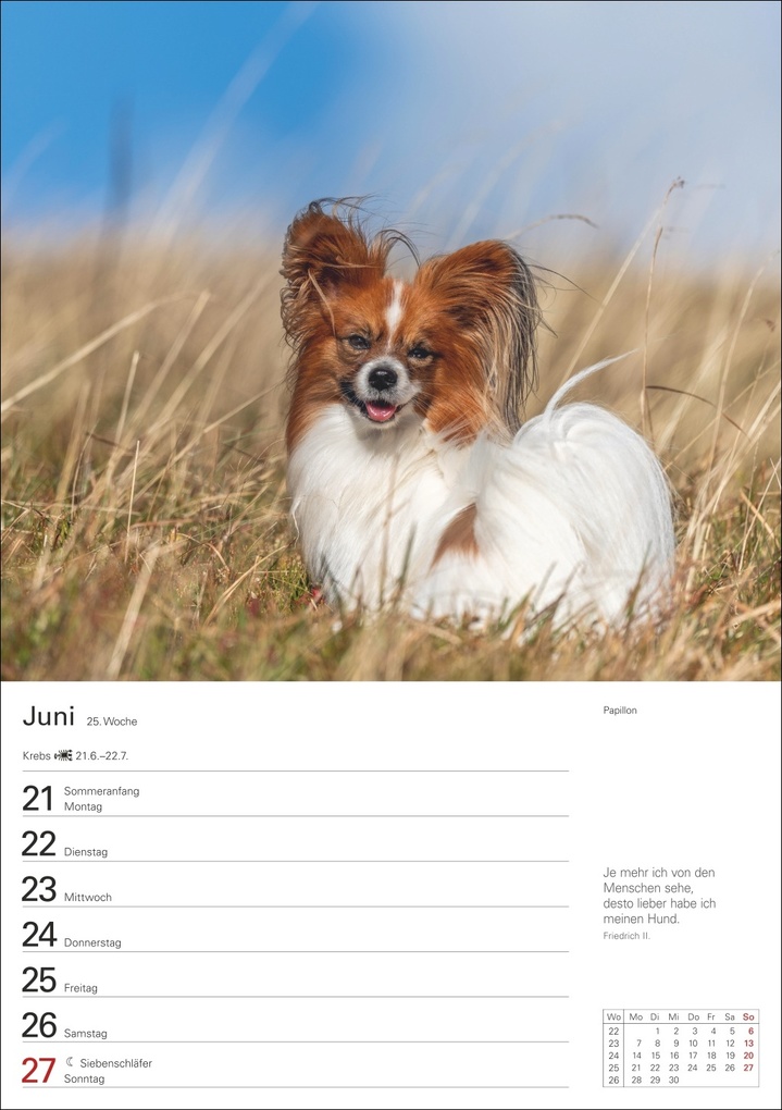 Weitere Ansicht: Hunde Wochenplaner 2027 - 53 faszinierende Fotografien