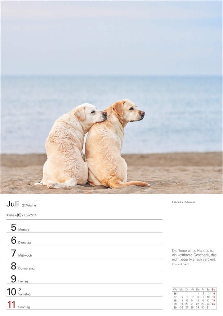 Weitere Ansicht: Hunde Wochenplaner 2027 - 53 faszinierende Fotografien