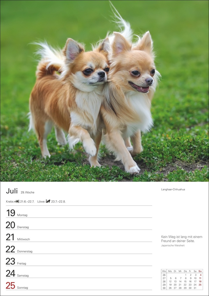 Weitere Ansicht: Hunde Wochenplaner 2027 - 53 faszinierende Fotografien