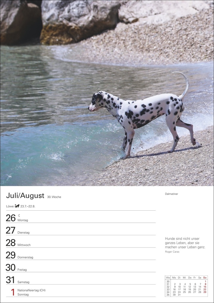 Weitere Ansicht: Hunde Wochenplaner 2027 - 53 faszinierende Fotografien