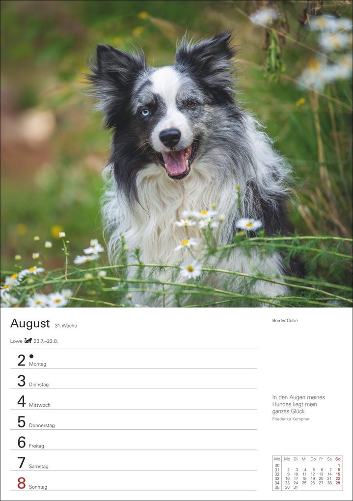 Weitere Ansicht: Hunde Wochenplaner 2027 - 53 faszinierende Fotografien