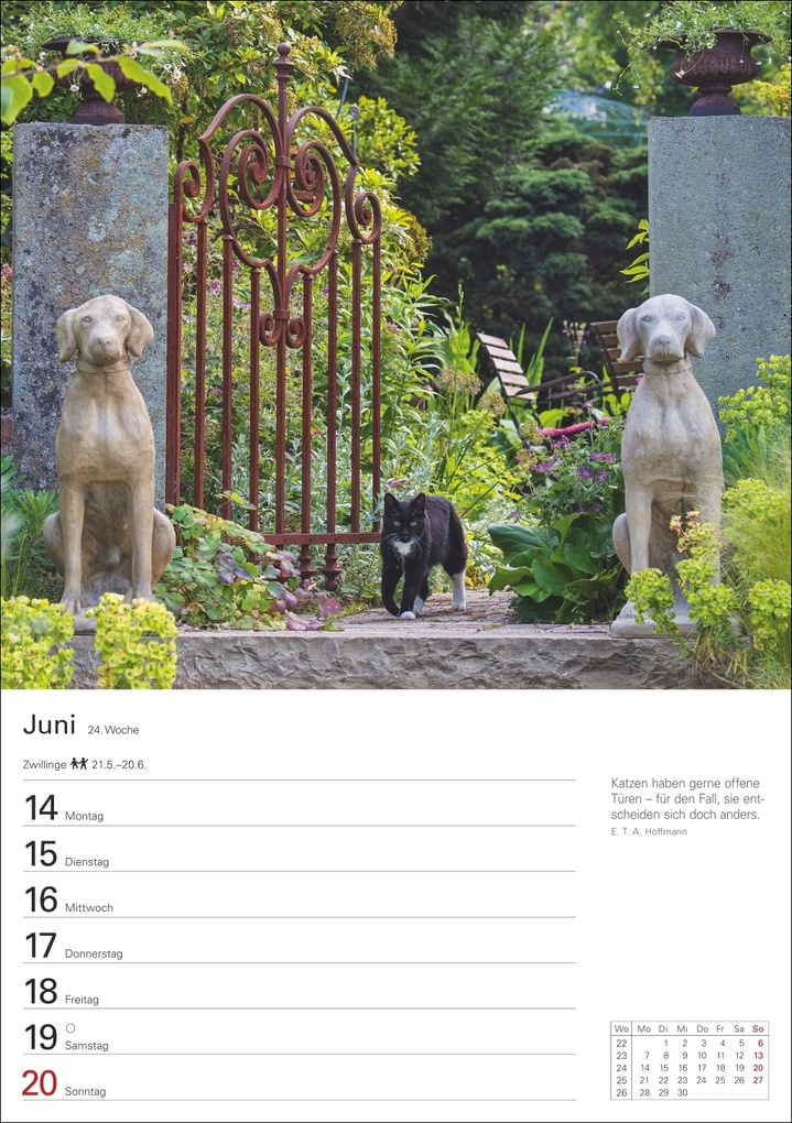 Weitere Ansicht: Katzen Wochenplaner 2027 - 53 faszinierende Fotografien | Thomas Huhnold