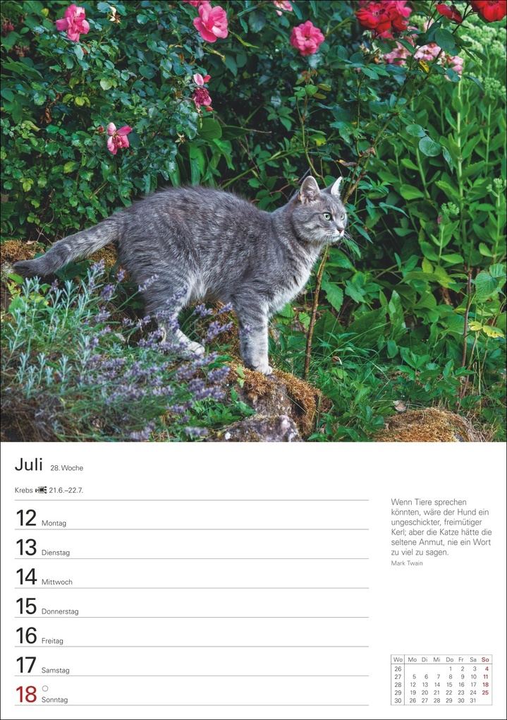 Weitere Ansicht: Katzen Wochenplaner 2027 - 53 faszinierende Fotografien | Thomas Huhnold