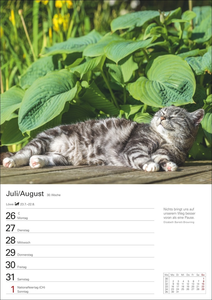 Weitere Ansicht: Katzen Wochenplaner 2027 - 53 faszinierende Fotografien | Thomas Huhnold