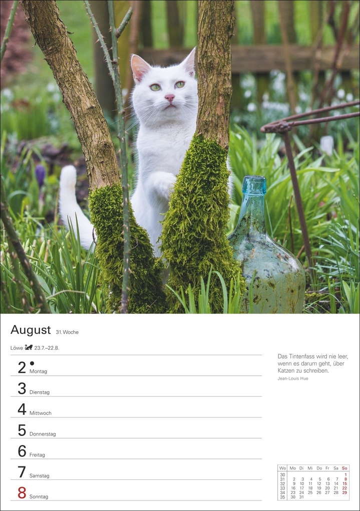 Weitere Ansicht: Katzen Wochenplaner 2027 - 53 faszinierende Fotografien | Thomas Huhnold