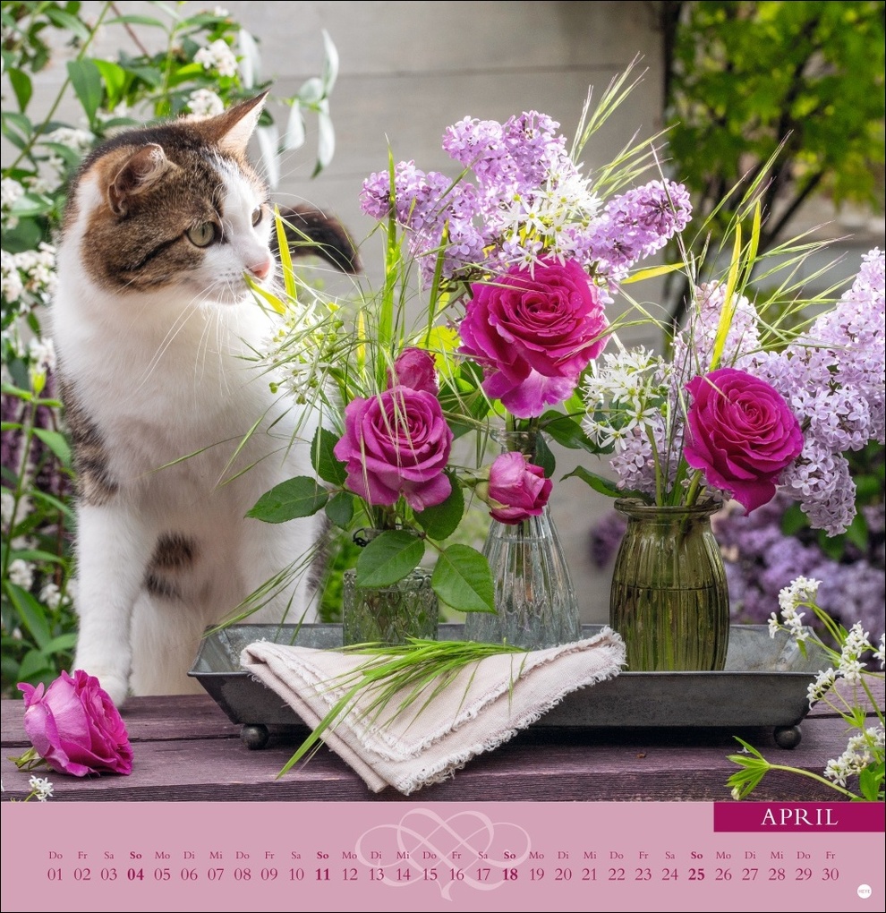 Weitere Ansicht: Rosenduftkalender 2027