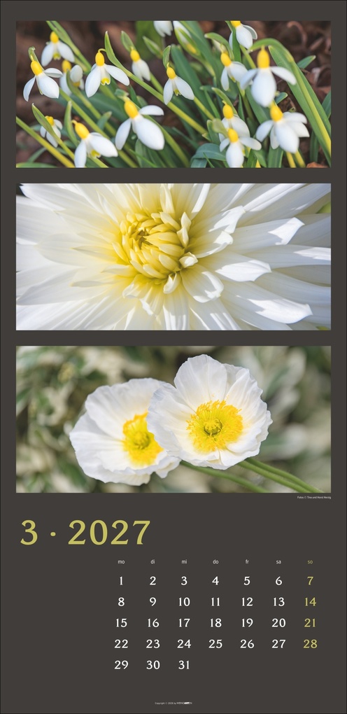 Weitere Ansicht: Die Farben der Natur Kalender 2027