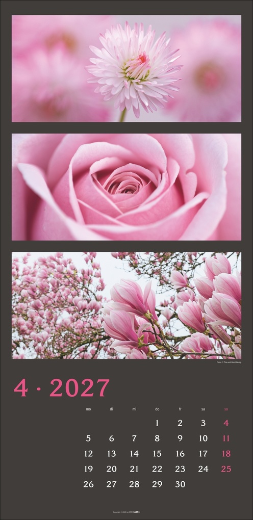 Weitere Ansicht: Die Farben der Natur Kalender 2027