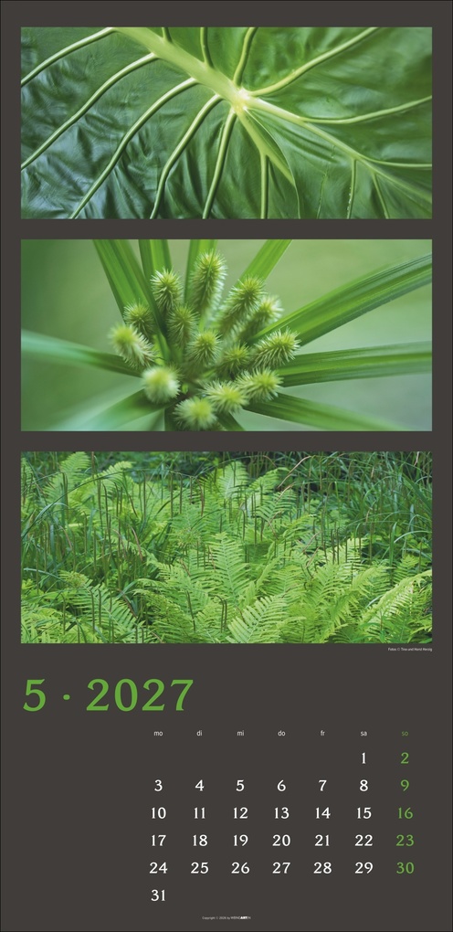 Weitere Ansicht: Die Farben der Natur Kalender 2027