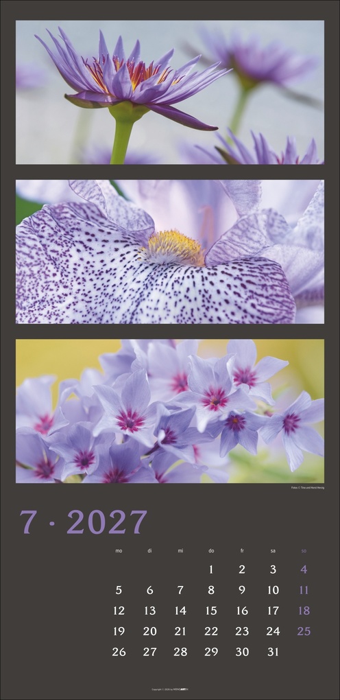 Weitere Ansicht: Die Farben der Natur Kalender 2027