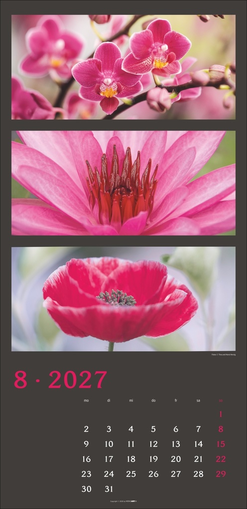 Weitere Ansicht: Die Farben der Natur Kalender 2027