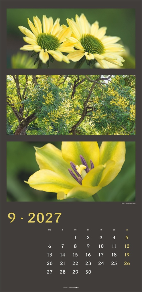 Weitere Ansicht: Die Farben der Natur Kalender 2027