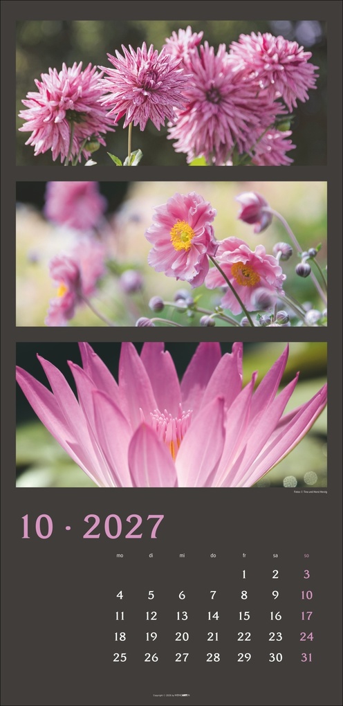 Weitere Ansicht: Die Farben der Natur Kalender 2027