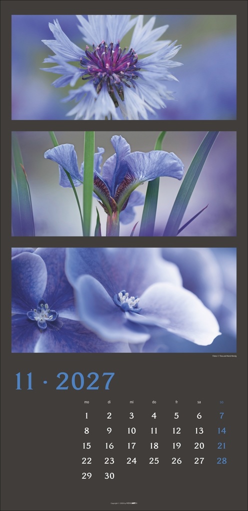 Weitere Ansicht: Die Farben der Natur Kalender 2027