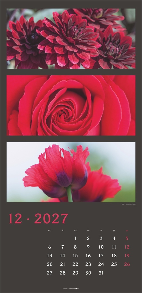 Weitere Ansicht: Die Farben der Natur Kalender 2027