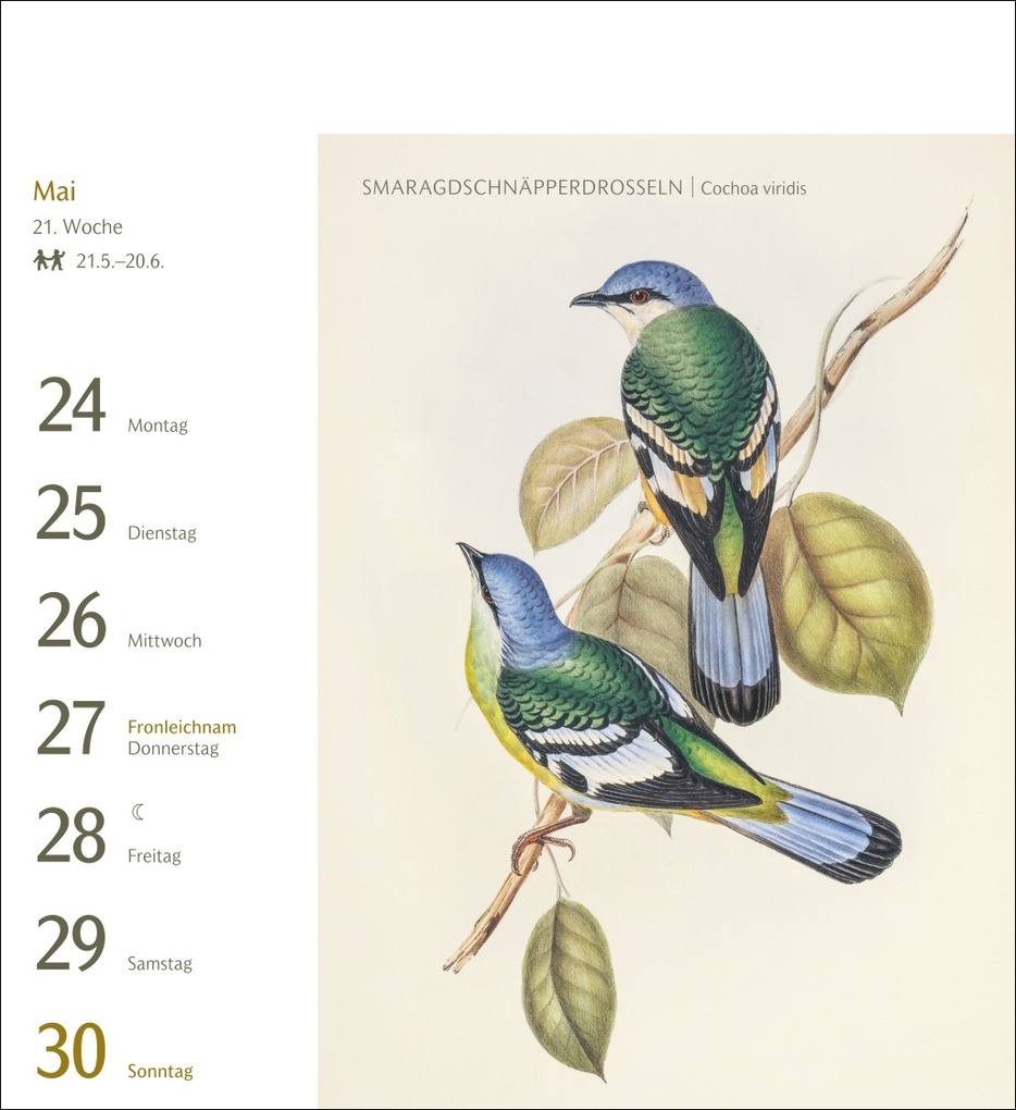 Weitere Ansicht: Vögel Postkartenkalender 2027 - Postkartenkalender mit 53 historischen Zeichnungen