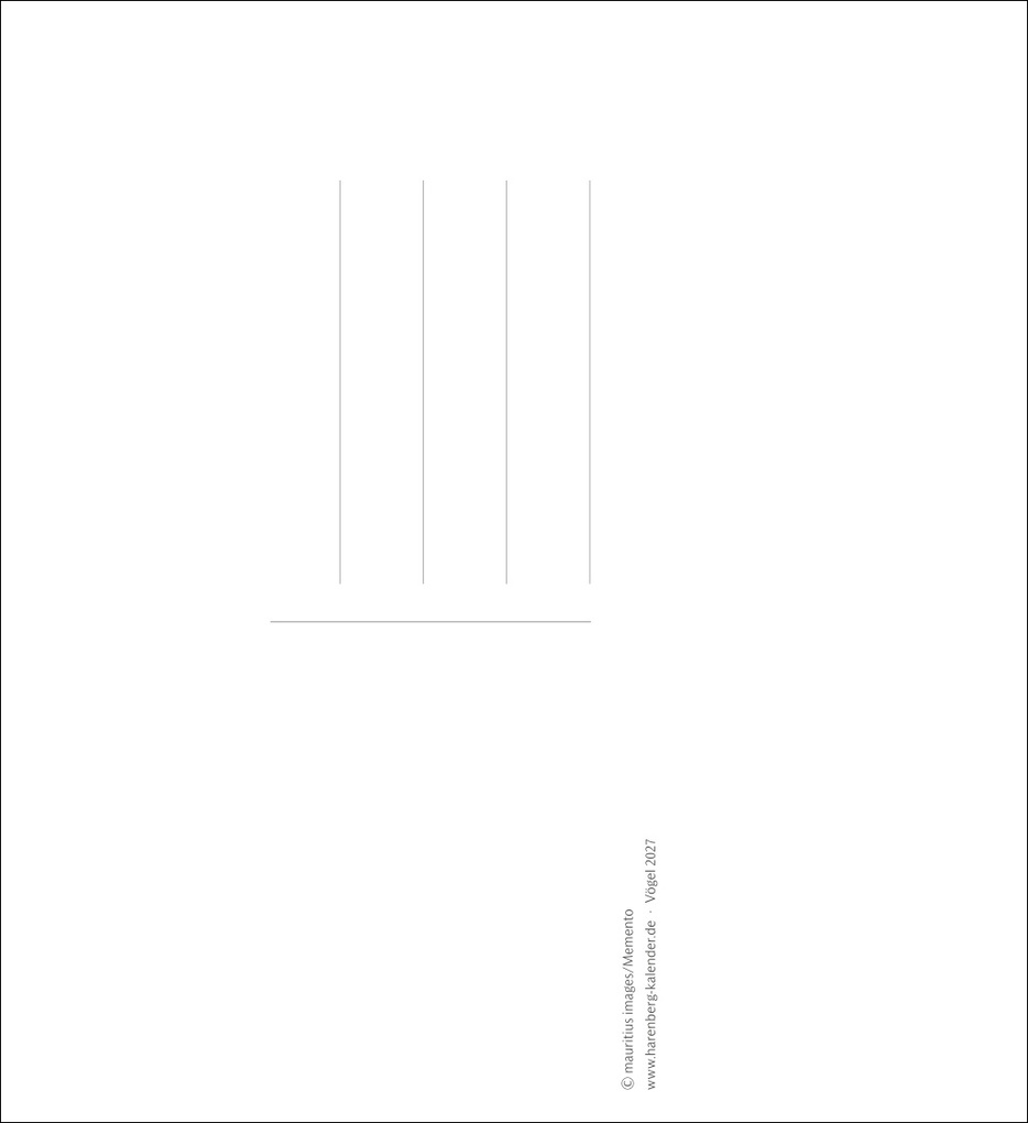 Weitere Ansicht: Vögel Postkartenkalender 2027 - Postkartenkalender mit 53 historischen Zeichnungen