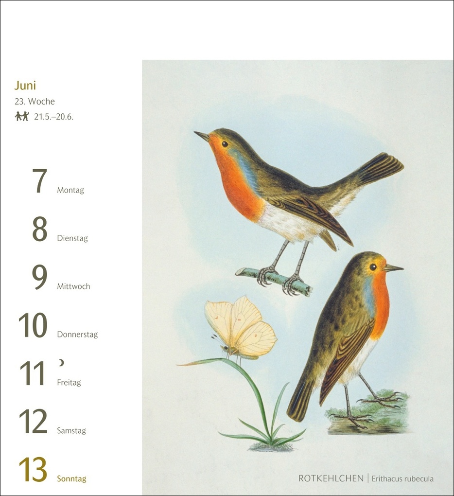 Weitere Ansicht: Vögel Postkartenkalender 2027 - Postkartenkalender mit 53 historischen Zeichnungen