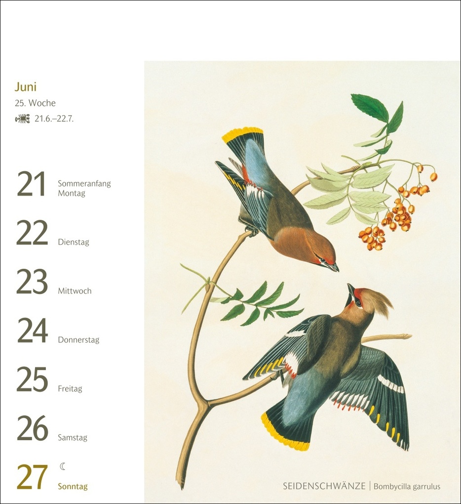 Weitere Ansicht: Vögel Postkartenkalender 2027 - Postkartenkalender mit 53 historischen Zeichnungen